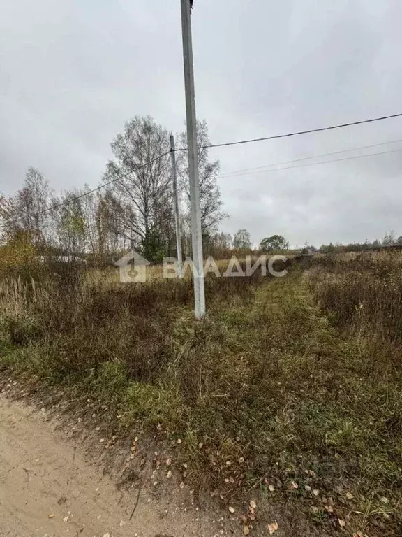 Участок в Владимирская область, Судогодский район, Мошокское ... - Фото 1