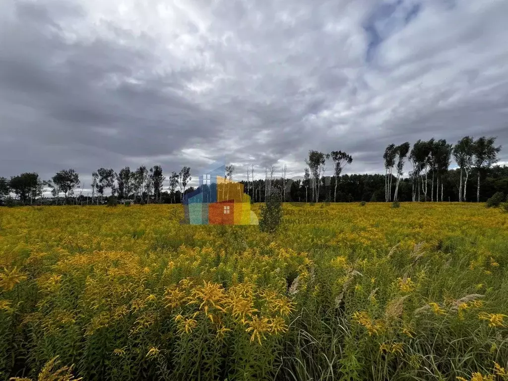Участок в Тульская область, Тула городской округ, пос. Молодежный, ... - Фото 1