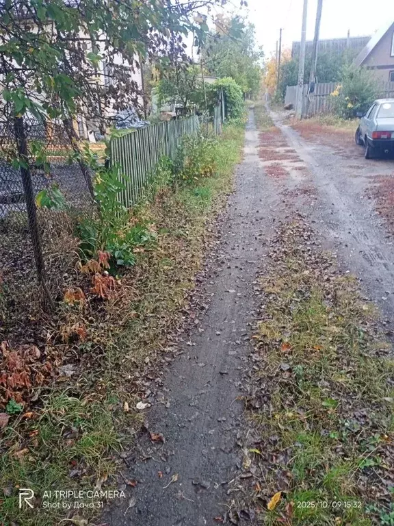 Участок в Белгородская область, Яковлевский муниципальный округ, ... - Фото 1