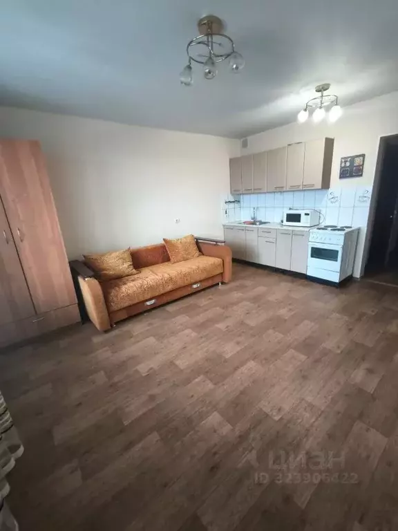 Студия Новосибирская область, Новосибирск Рябиновая ул., 10/1 (30.0 м) - Фото 1