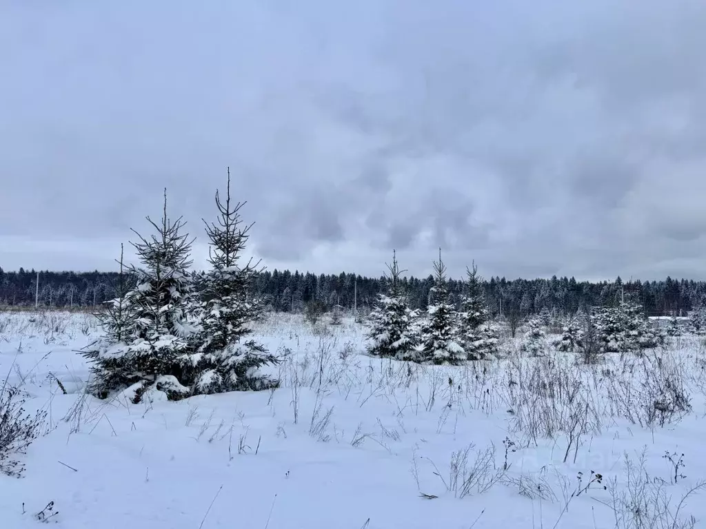 Участок в Московская область, Дмитровский муниципальный округ, д. ... - Фото 2