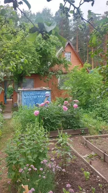 Дача 25 м на участке 6 сот. - Фото 0