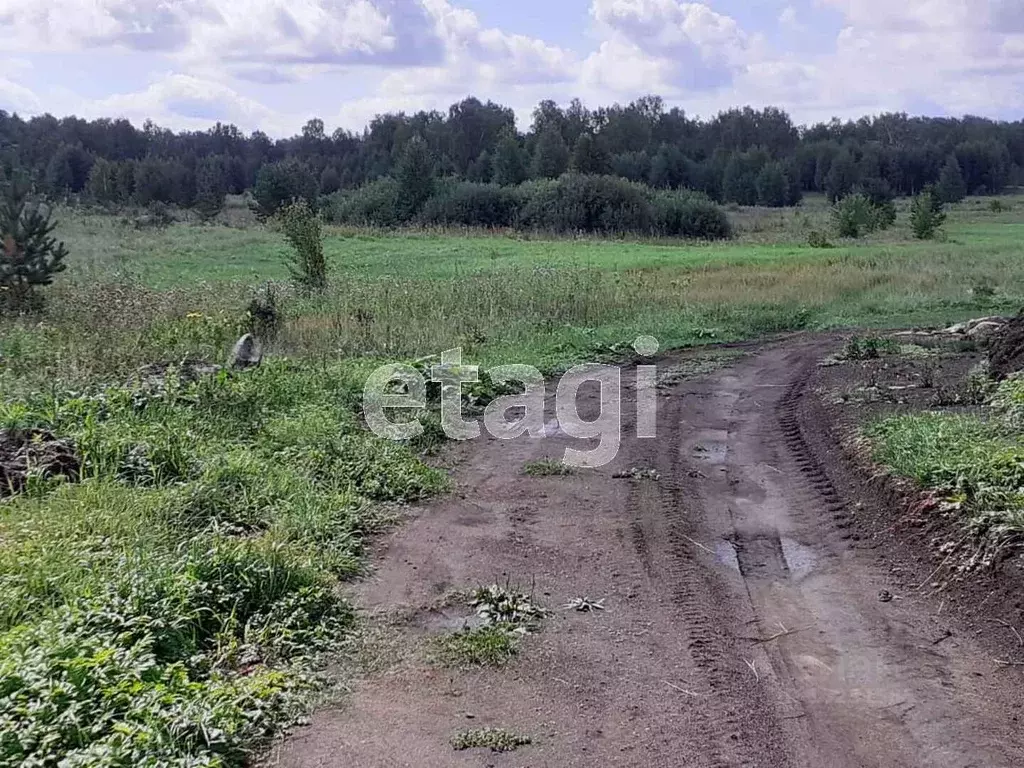 Участок в челябинская область, чебаркульский район, д. Боровое (12.0 .,  Купить земельный участок Боровое, Чебаркульский район, ID объекта -  20005241790