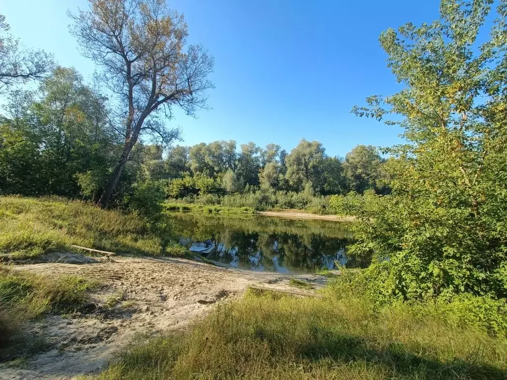 Дом в Воронежская область, Борисоглебский городской округ, с. Чигорак, .,  Купить дом Чигорак, Борисоглебский район, ID объекта - 50013132586