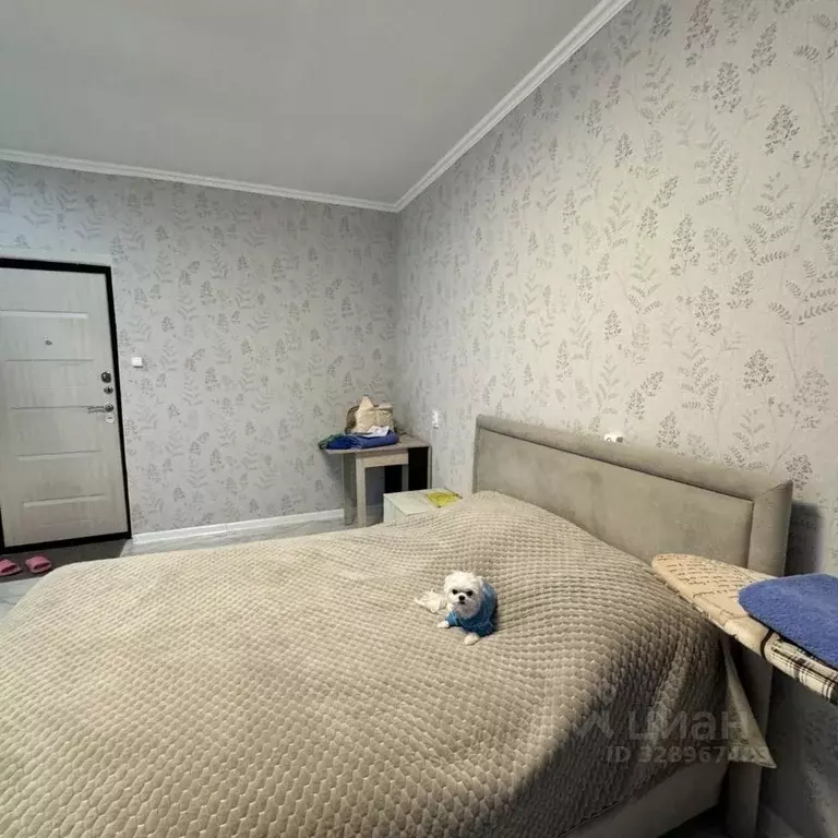 1-к кв. Чувашия, Чебоксары ул. Урукова, 4 (35.0 м) - Фото 1