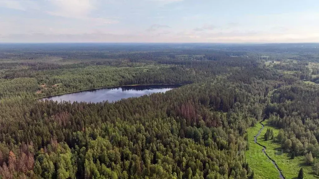 Коттедж в Ленинградская область, Приозерский район, Раздольевское ... - Фото 1