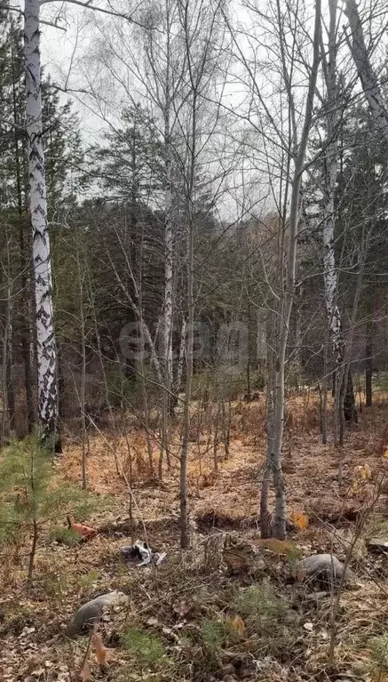 Участок в Иркутская область, Иркутский муниципальный округ, Маркова ... - Фото 1