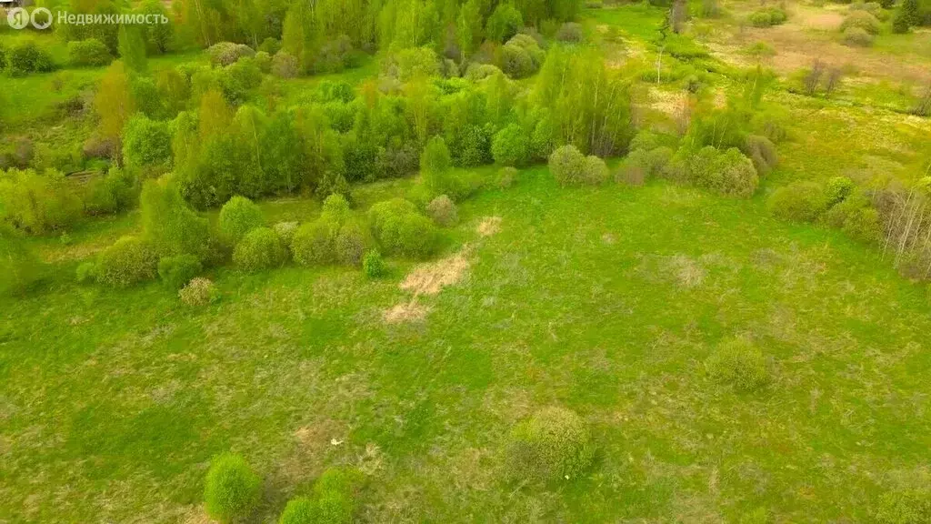 Участок в Владимирская область, Судогодский муниципальный округ, ... - Фото 1