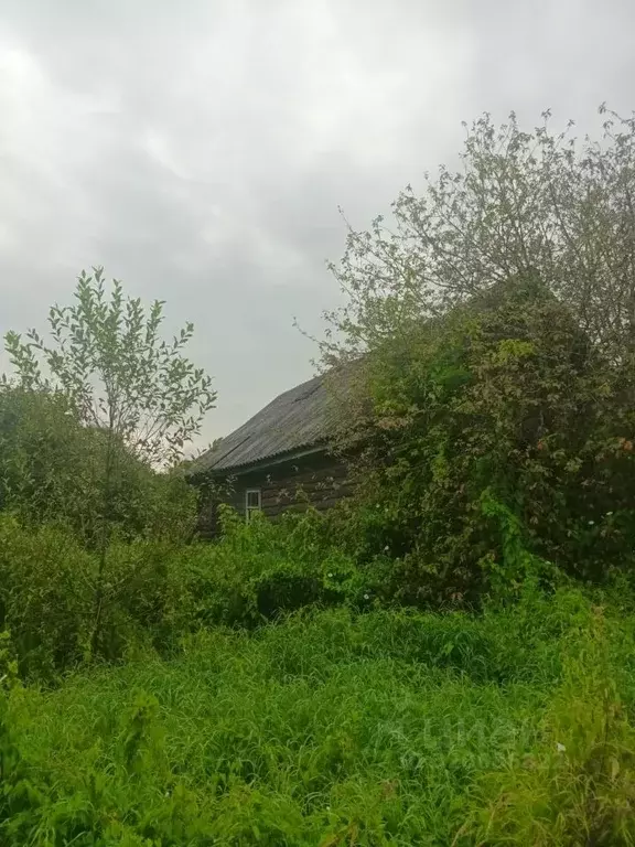 Дом в Новгородская область, Новгородский район, Савинское с/пос, д. ... - Фото 2
