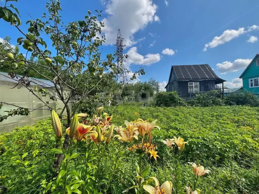 Дом в Владимирская область, Ковров № 15 КЭМЗ СНТ, 24 (11 м) - Фото 1