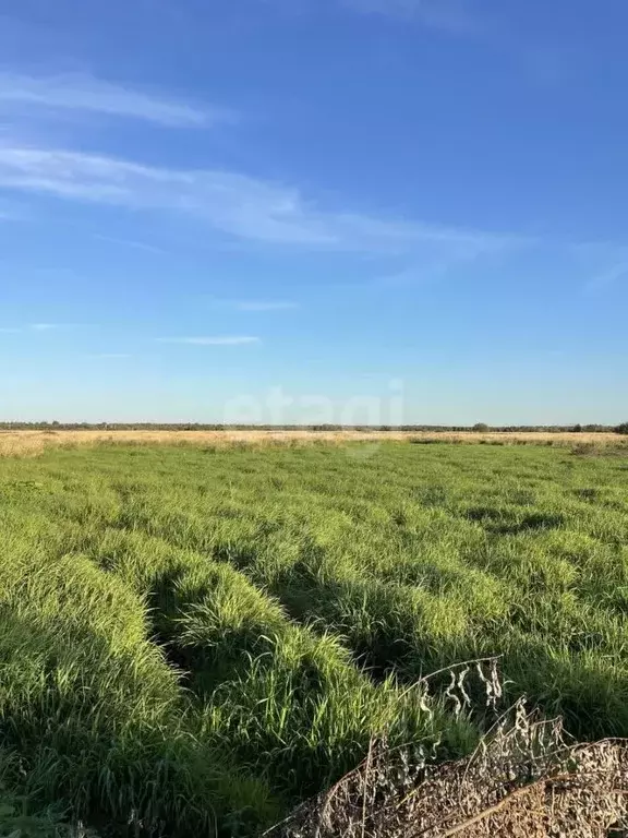 Участок в Коми, Сыктывдинский район, с. Выльгорт  (12.9 сот.) - Фото 2