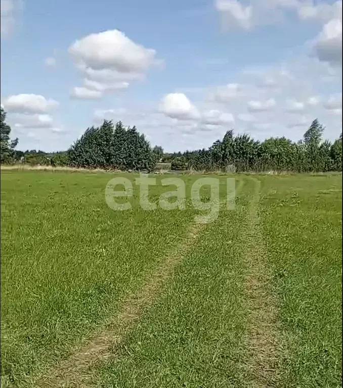 Участок в Тверская область, Калининский муниципальный округ, д. ... - Фото 2