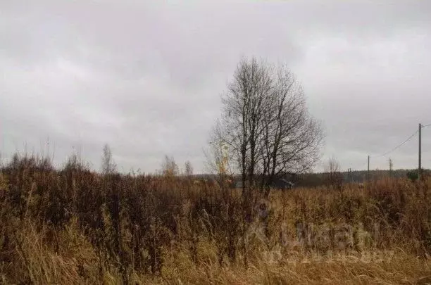 Участок в Московская область, Шаховская муниципальный округ, д. ... - Фото 1