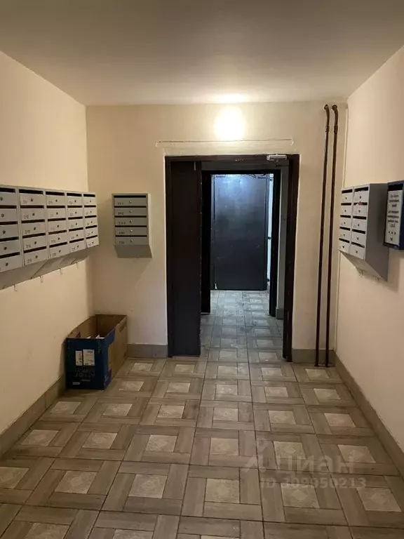 2-к кв. Пермский край, Пермь ул. Адмирала Ушакова, 21 (61.5 м) - Фото 2