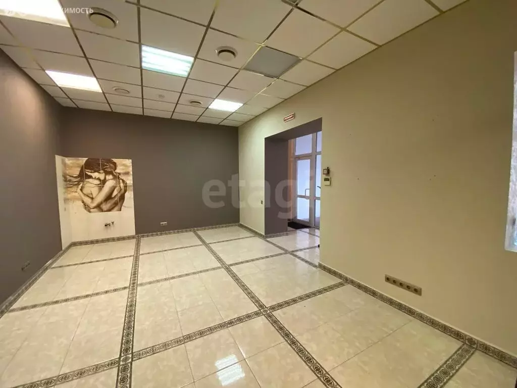 Офис (41.9 м) - Фото 2