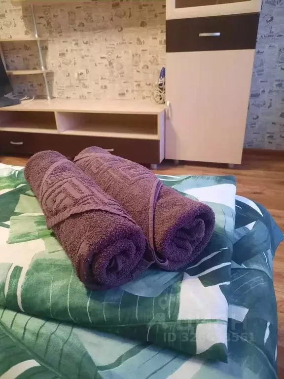 1-к кв. Томская область, Томск ул. Артема, 17 (30.0 м) - Фото 1