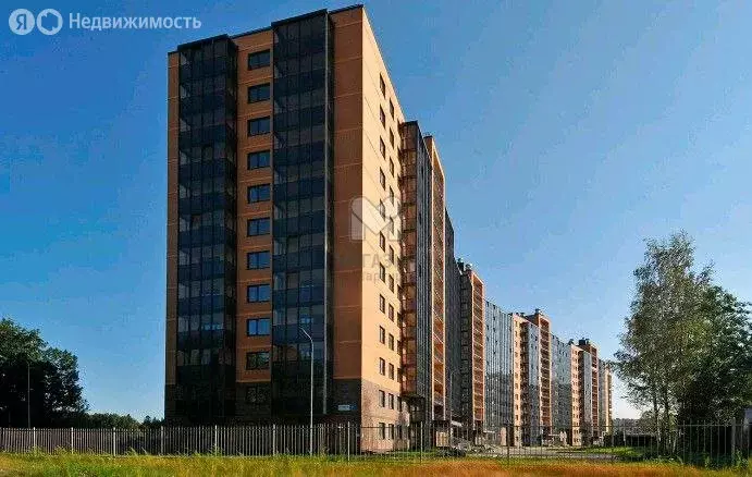 Квартира-студия: деревня Новое Девяткино, Главная улица, 2 (25.3 м) - Фото 1