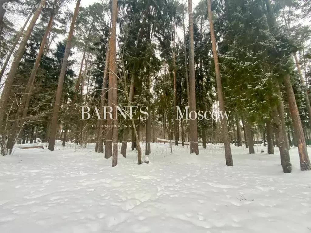 Участок в Одинцовский городской округ, посёлок Сосны (29 м) - Фото 1