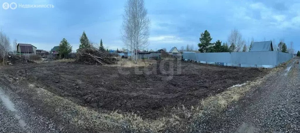Участок в Тюменский район, СНТ Нива, Овощная улица (7.87 м) - Фото 1