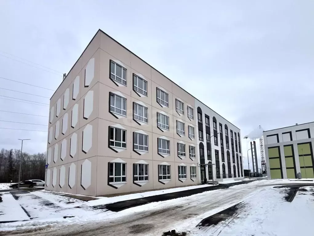 Студия Пермский край, Пермский муниципальный округ, с. Фролы ул. ... - Фото 1