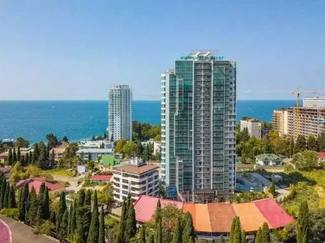 2-к кв. Краснодарский край, Сочи Светлана мкр, ул. Гагринская, 10 ... - Фото 2