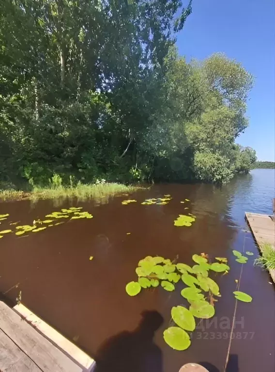 Дом в Ленинградская область, Волховский район, Вындиноостровское ... - Фото 1