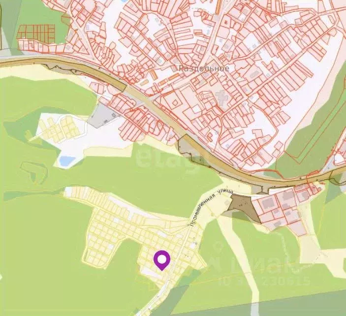 Участок в Новосибирская область, Новосибирский район, Раздольненский ... - Фото 1