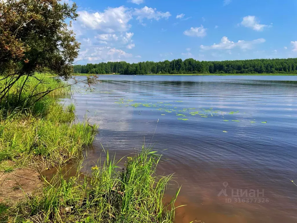 Участок в Ленинградская область, Приозерский район, Ромашкинское ... - Фото 1