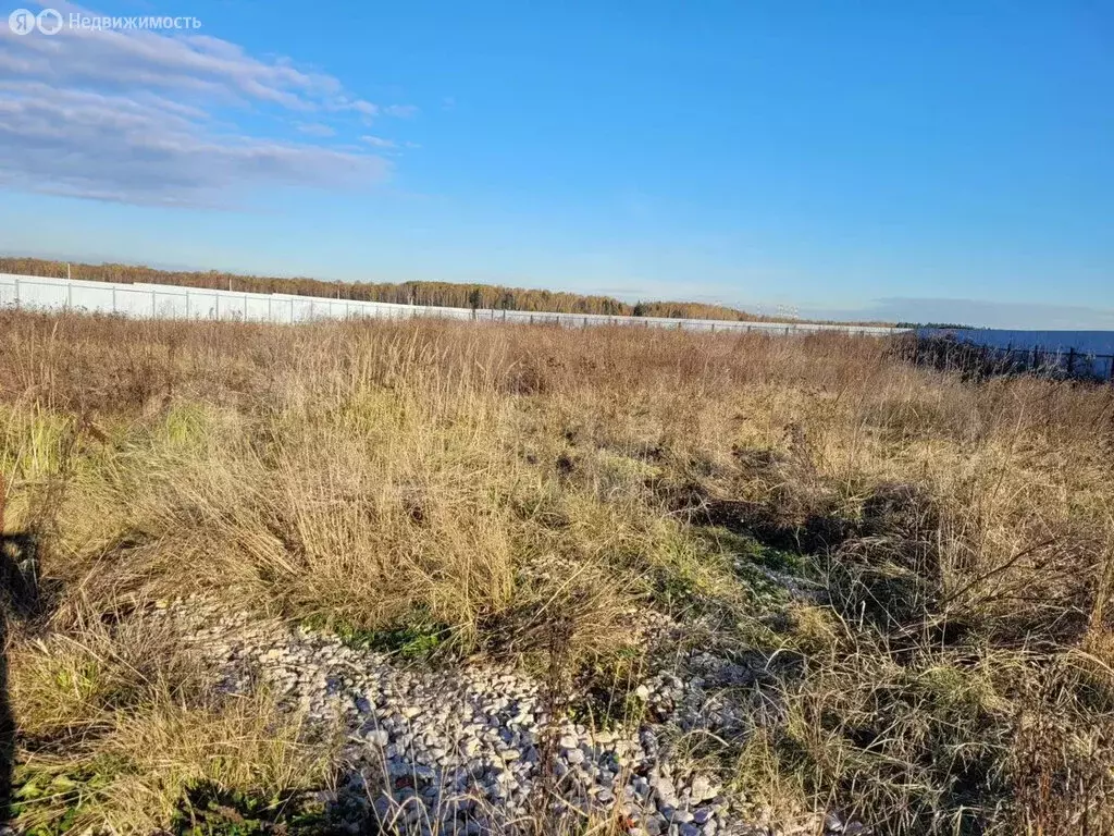 Участок в Московская область, городской округ Чехов, село Молоди (20 ... - Фото 0