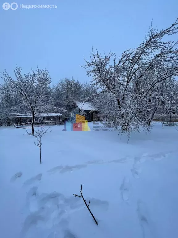 Участок в Тула, СТ № 3 ТЗ РТИ, 51 (6.1 м) - Фото 2