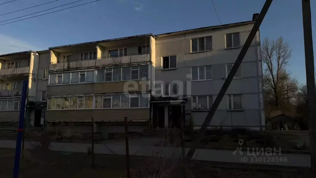 2-к кв. Псковская область, Островская волость, д. Городище ул. ... - Фото 1