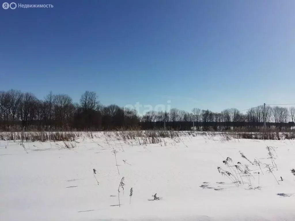 Участок в Амурская область, Благовещенский муниципальный округ, село ... - Фото 0