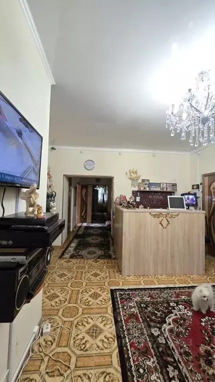 Помещение свободного назначения в Курская область, Курск ул. ... - Фото 1