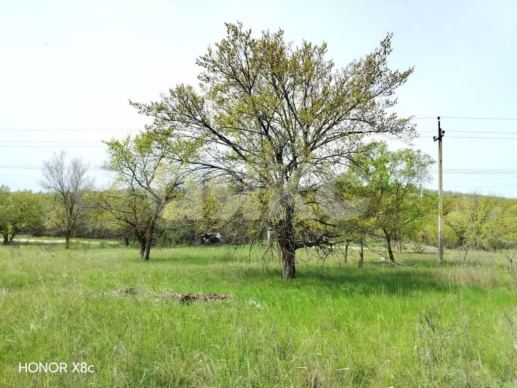 Участок в Волгоградская область, Городищенский район, Царицынское ... - Фото 2