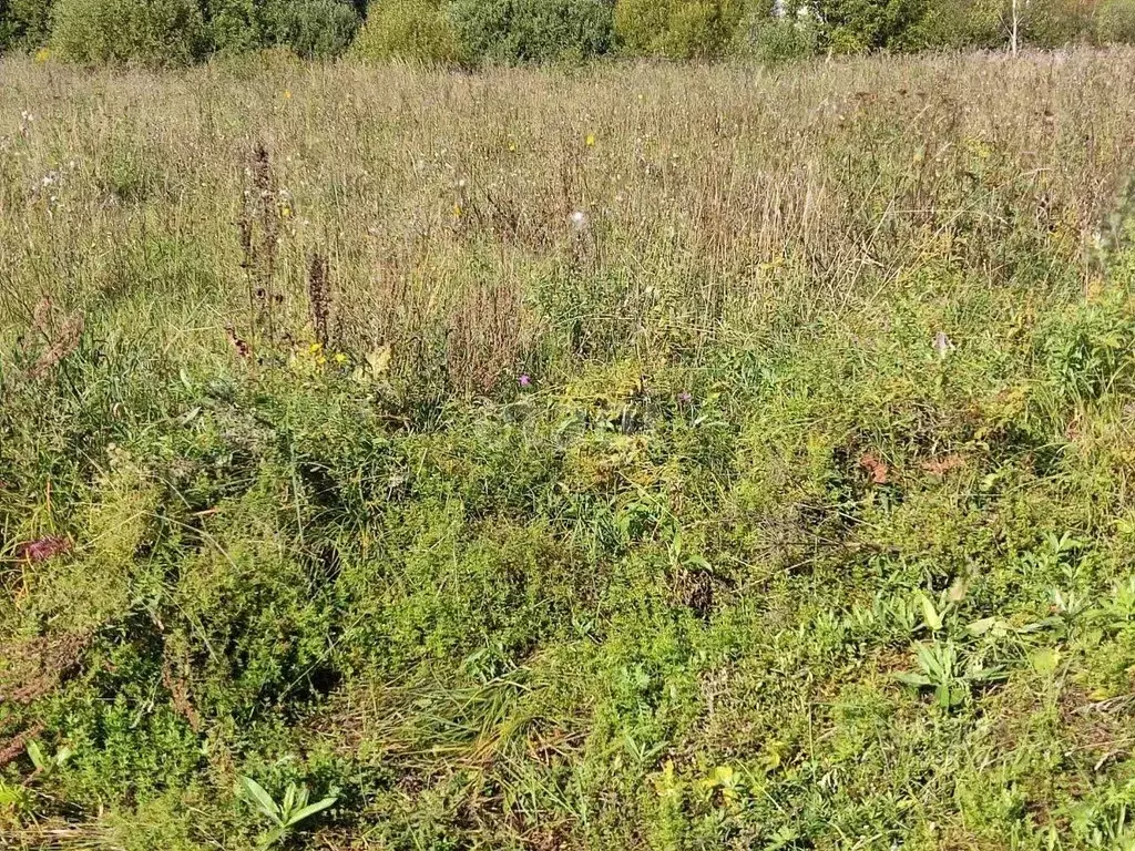 Участок в Калужская область, Калуга  (7.5 сот.) - Фото 2