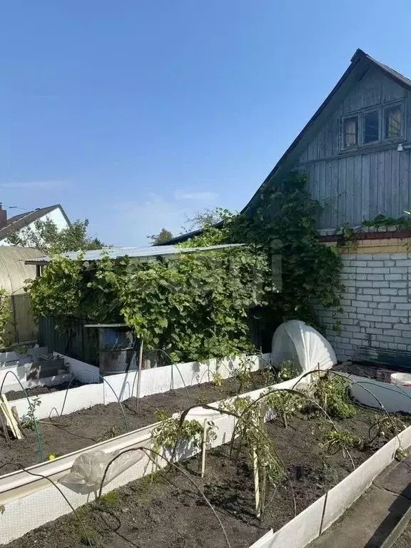 Дом в Брянская область, Брянск пос. Чайковичи,  (65 м) - Фото 1