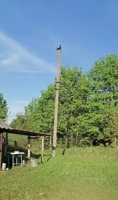 Участок в Псковская область, Пустошкинский район, Забельская волость, ... - Фото 2