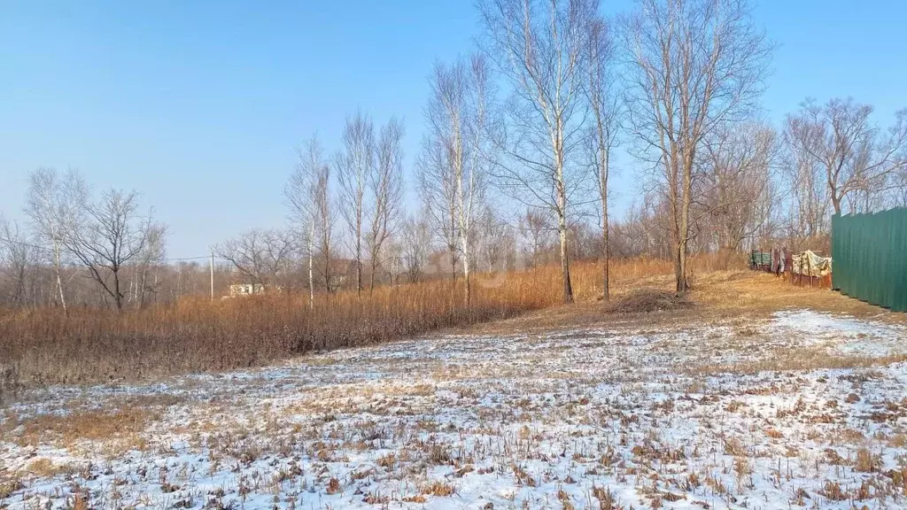 Участок в Приморский край, Надеждинский район, Варяг садовое ... - Фото 1