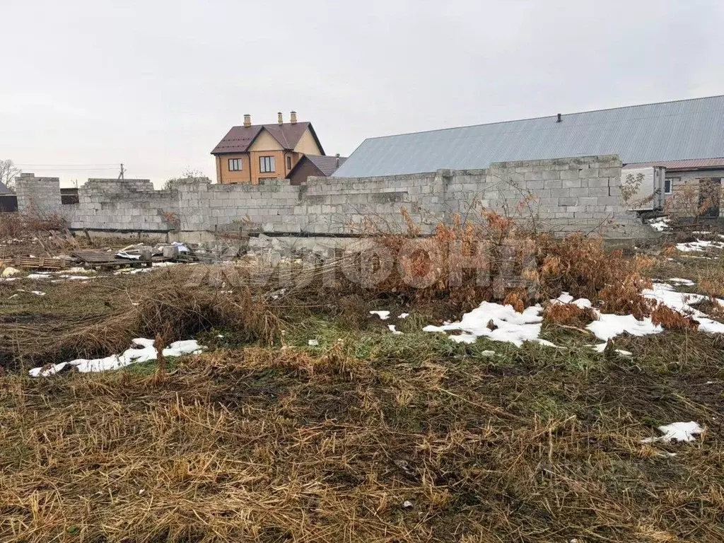 Участок в Новосибирская область, Новосибирск Тулинское заречье кп,  ... - Фото 1
