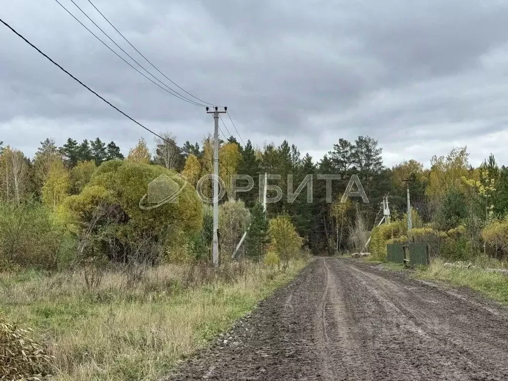 Участок в Тюменская область, Тюменский муниципальный округ, д. Ушакова ... - Фото 2