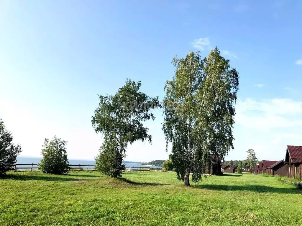 Участок в Новосибирская область, Новосибирский район, с. Боровое  ... - Фото 0