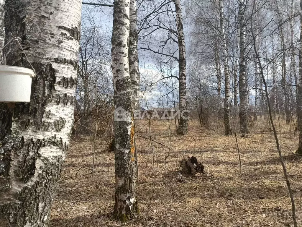 Участок 15,7 сот. (личное подсобное хозяйство (лпх)) - Фото 1