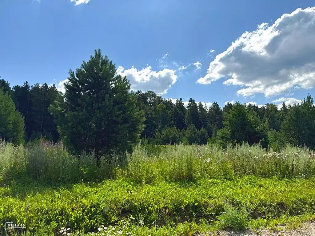 Участок в Свердловская область, Белоярский муниципальный округ, пос. ... - Фото 1