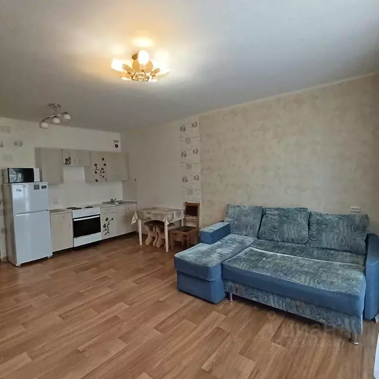 Студия Новосибирская область, Новосибирск ул. Виталия Потылицына, 7 ... - Фото 2