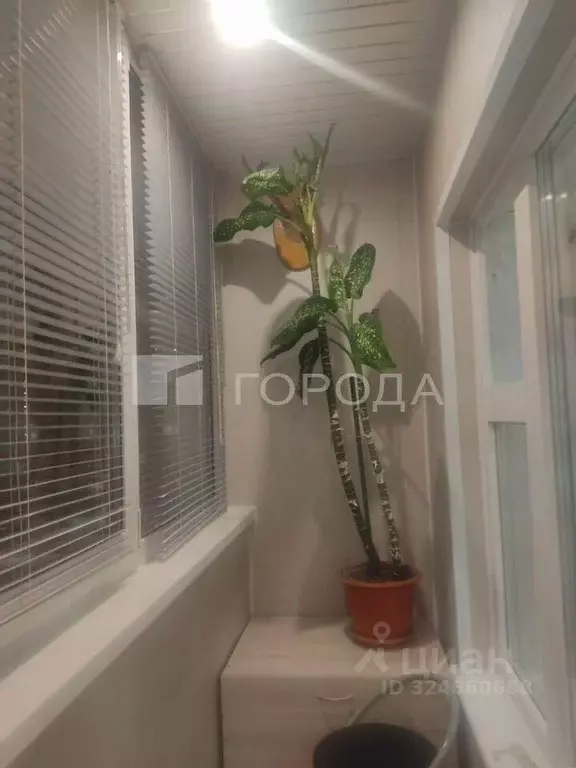 Студия Новосибирская область, Новосибирск ул. Виктора Уса, 11/1 (20.0 ... - Фото 2