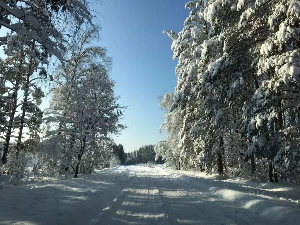 Участок в Владимирская область, Киржачский район, д. Тельвяково  (10.0 ... - Фото 1