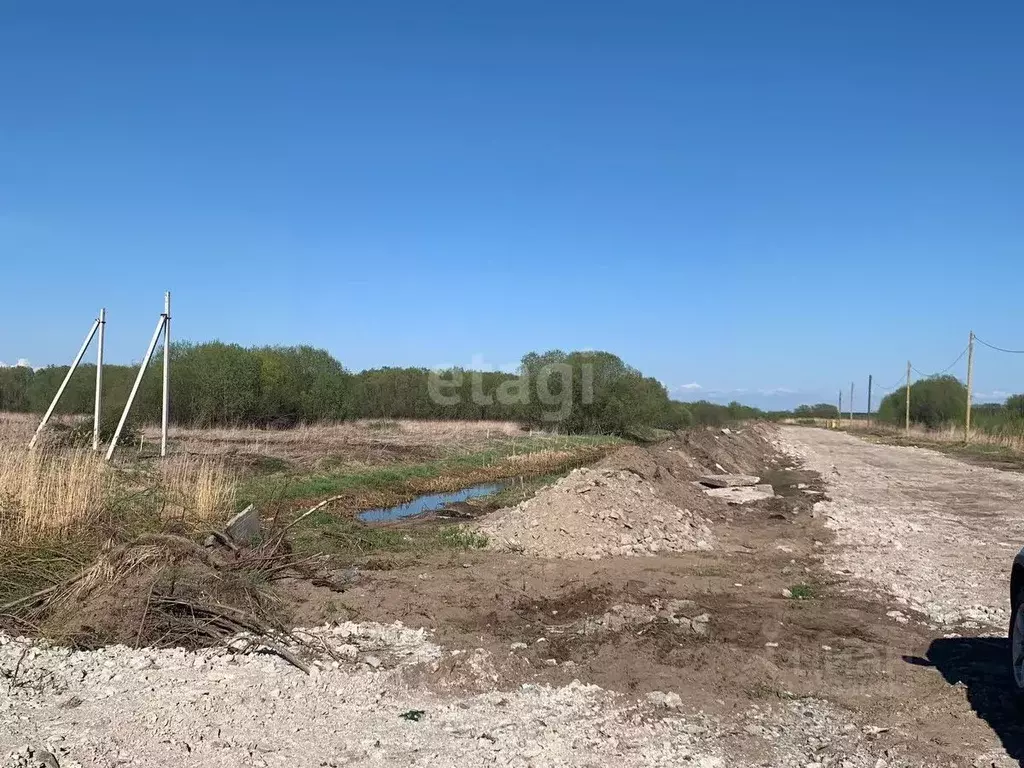 Участок в Архангельская область, Приморский муниципальный округ, ... - Фото 1