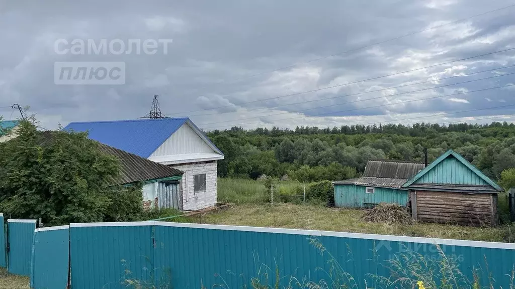 Дом в Башкортостан, Чишминский район, Алкинский сельсовет, с. ... - Фото 1