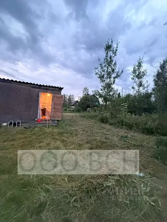 Участок в Ленинградская область, Киришский район, Кусинское с/пос, ... - Фото 2