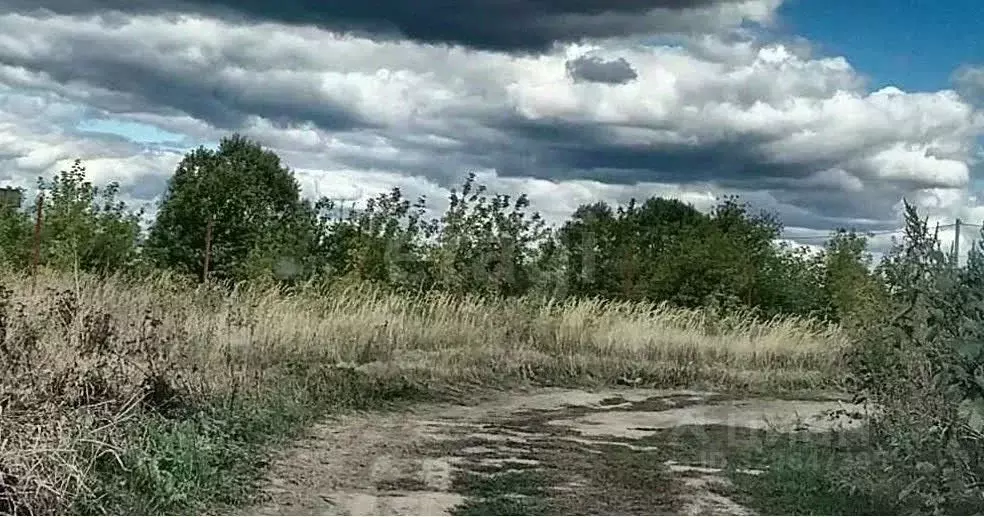 Участок в Курская область, Курский район, Клюквинский сельсовет, с. ... - Фото 1